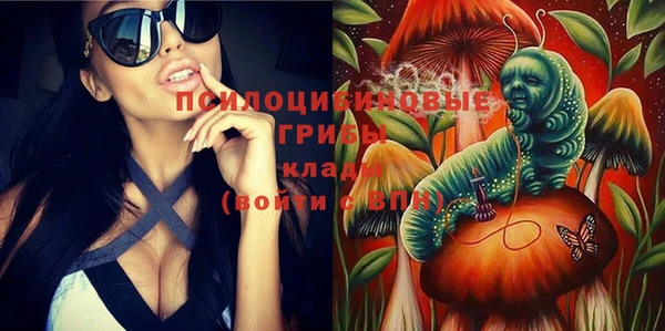 амф Алзамай