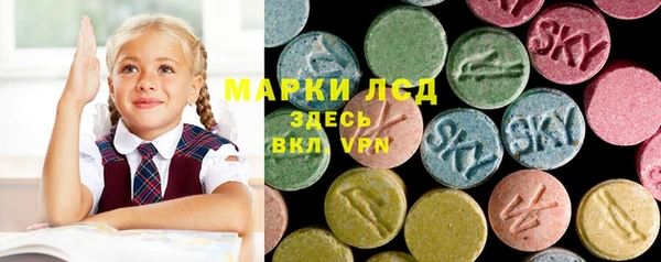 амф Алзамай