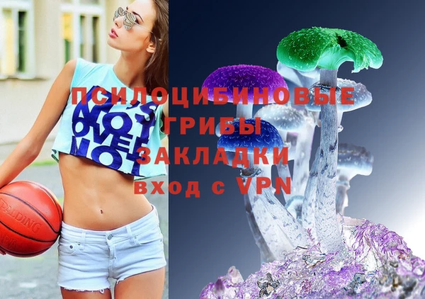 амф Алзамай